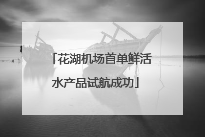 花湖机场首单鲜活水产品试航成功