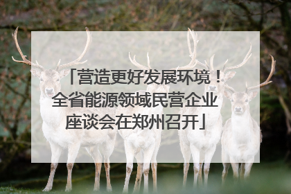 营造更好发展环境！全省能源领域民营企业座谈会在郑州召开