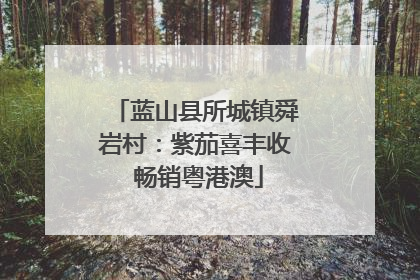 蓝山县所城镇舜岩村：紫茄喜丰收 畅销粤港澳