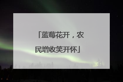 蓝莓花开，农民增收笑开怀