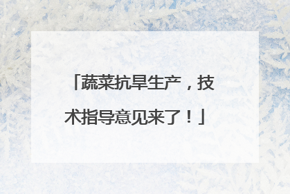 蔬菜抗旱生产，技术指导意见来了！