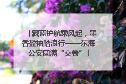 藏蓝护航乘风起，墨香盈袖踏浪行——东海公安圆满“交卷”