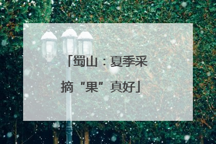 蜀山：夏季采摘“果”真好