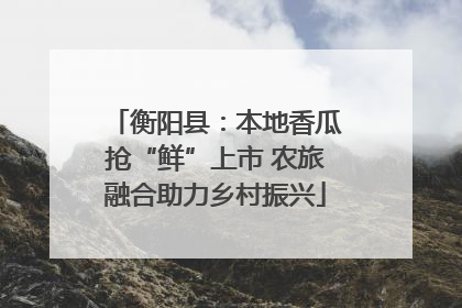 衡阳县：本地香瓜抢“鲜”上市 农旅融合助力乡村振兴