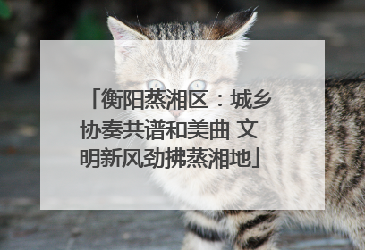 衡阳蒸湘区：城乡协奏共谱和美曲 文明新风劲拂蒸湘地