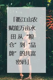 衢江山农赋能万亩水田 从“粮仓”到“品牌”的共富密码