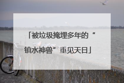 被垃圾掩埋多年的“镇水神兽”重见天日