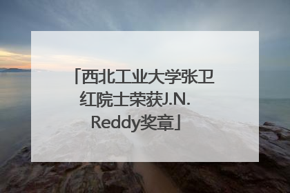西北工业大学张卫红院士荣获J.N.Reddy奖章
