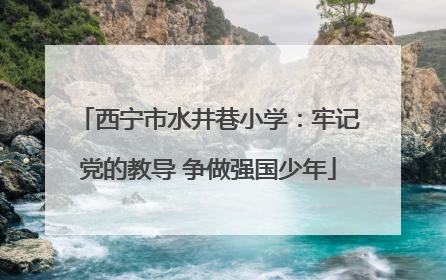 西宁市水井巷小学：牢记党的教导 争做强国少年
