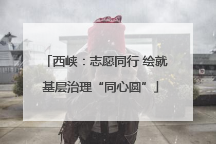 西峡：志愿同行 绘就基层治理“同心圆”