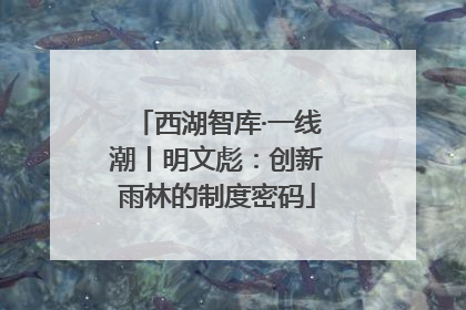 西湖智库·一线潮丨明文彪：创新雨林的制度密码