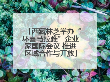 西藏林芝举办“环喜马拉雅”企业家国际会议 推进区域合作与开放