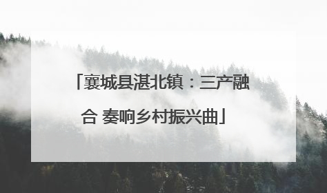 襄城县湛北镇：三产融合 奏响乡村振兴曲