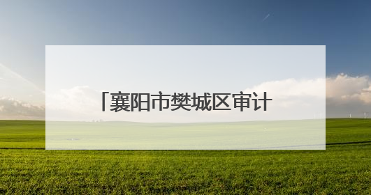 襄阳市樊城区审计局举办《湖北省内部审计条例》宣讲会