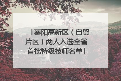 襄阳高新区（自贸片区）两人入选全省首批特级技师名单
