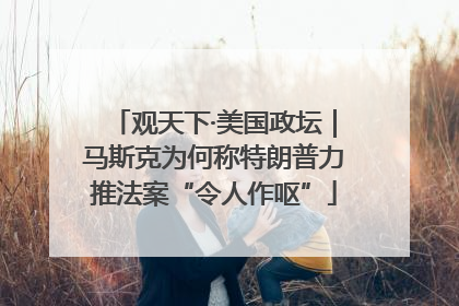 观天下·美国政坛｜马斯克为何称特朗普力推法案“令人作呕”