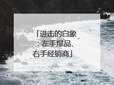 进击的白象：左手爆品、右手经销商