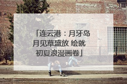 连云港：月牙岛月见草盛放 绘就初夏浪漫画卷