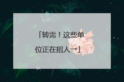 转需！这些单位正在招人→