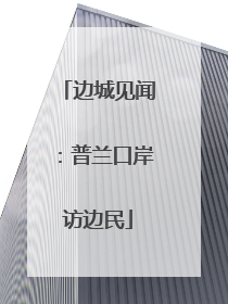 边城见闻：普兰口岸访边民
