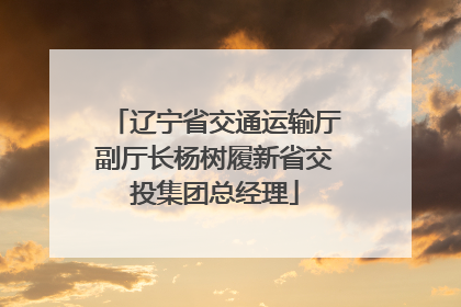 辽宁省交通运输厅副厅长杨树履新省交投集团总经理
