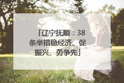 辽宁抚顺：38条举措稳经济、促振兴、勇争先