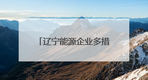 辽宁能源企业多措并举备战迎峰度夏