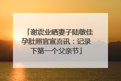 谢震业晒妻子陆敏佳孕肚照官宣喜讯：记录下第一个父亲节
