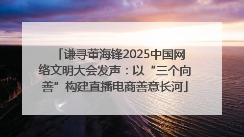 谦寻董海锋2025中国网络文明大会发声：以“三个向善”构建直播电商善意长河