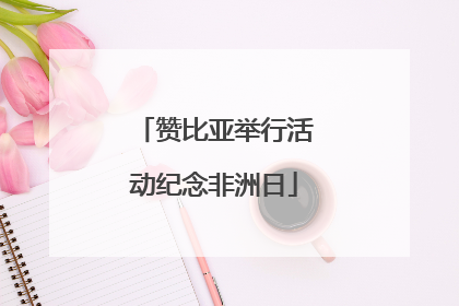 赞比亚举行活动纪念非洲日