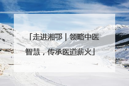 走进湘鄂｜领略中医智慧，传承医道薪火