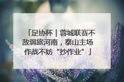 足协杯｜蓉城联赛不敌弱旅河南，泰山主场作战不妨“抄作业”