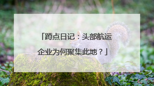 蹲点日记：头部航运企业为何聚集此地？