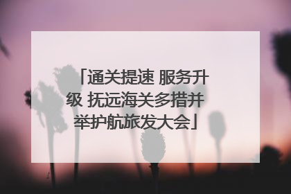 通关提速 服务升级 抚远海关多措并举护航旅发大会