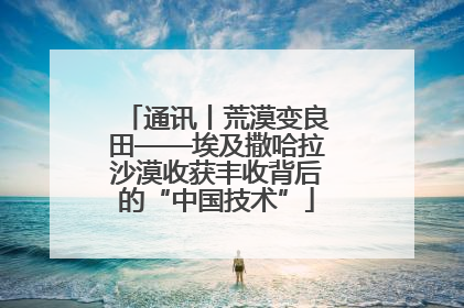 通讯丨荒漠变良田——埃及撒哈拉沙漠收获丰收背后的“中国技术”