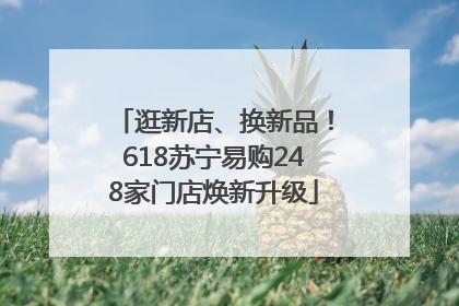逛新店、换新品！618苏宁易购248家门店焕新升级