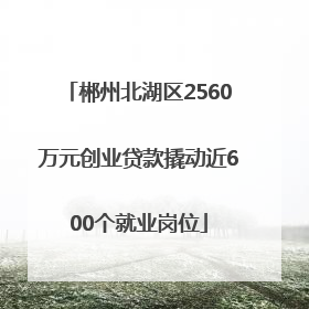 郴州北湖区2560万元创业贷款撬动近600个就业岗位