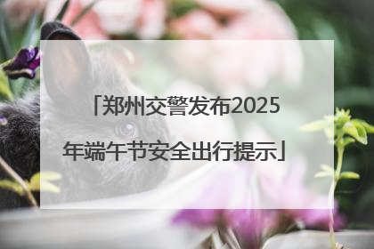 郑州交警发布2025年端午节安全出行提示