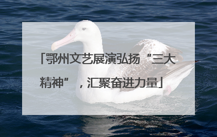 鄂州文艺展演弘扬“三大精神”，汇聚奋进力量