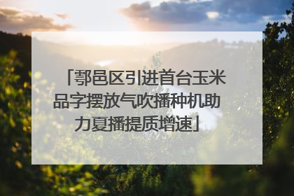 鄠邑区引进首台玉米品字摆放气吹播种机助力夏播提质增速