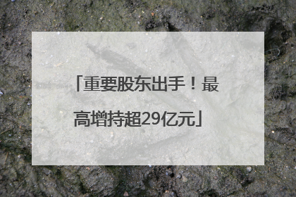 重要股东出手！最高增持超29亿元