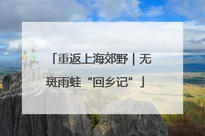 重返上海郊野｜无斑雨蛙“回乡记”