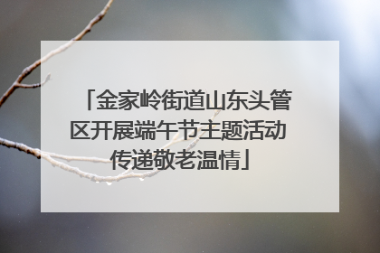 金家岭街道山东头管区开展端午节主题活动 传递敬老温情