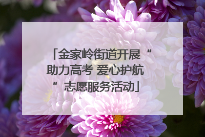 金家岭街道开展“助力高考 爱心护航”志愿服务活动