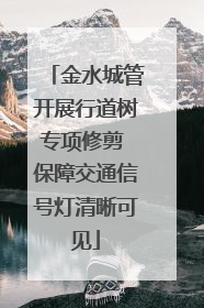 金水城管开展行道树专项修剪 保障交通信号灯清晰可见
