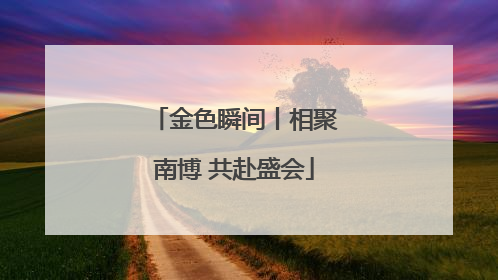 金色瞬间丨相聚南博 共赴盛会