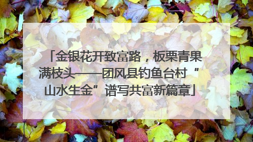 金银花开致富路，板栗青果满枝头——团风县钓鱼台村“山水生金”谱写共富新篇章