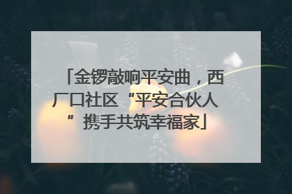 金锣敲响平安曲，西厂口社区“平安合伙人”携手共筑幸福家