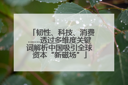韧性、科技、消费……透过多维度关键词解析中国吸引全球资本“新磁场”