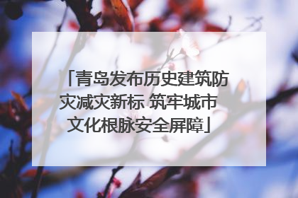 青岛发布历史建筑防灾减灾新标 筑牢城市文化根脉安全屏障